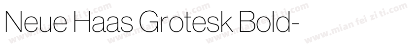 Neue Haas Grotesk Bold字体转换